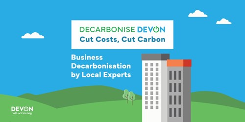 Decarbonise Devon Banner image